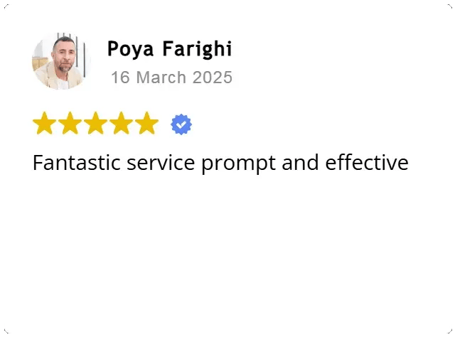 Review by Poya Farighi